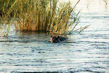 Divava Okavango Resort And Spa Bagani ภายนอก รูปภาพ